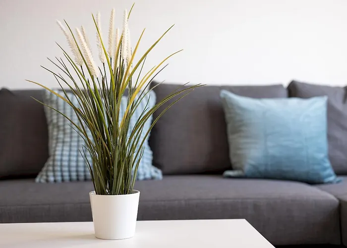 Home2book Sunny Terrace Pool Appartement Costa Calma