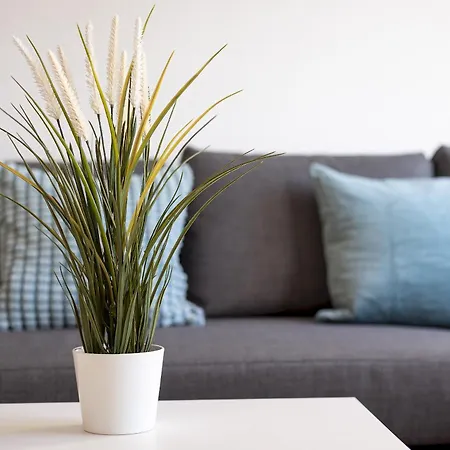 Home2book Sunny Terrace Pool Appartement Costa Calma